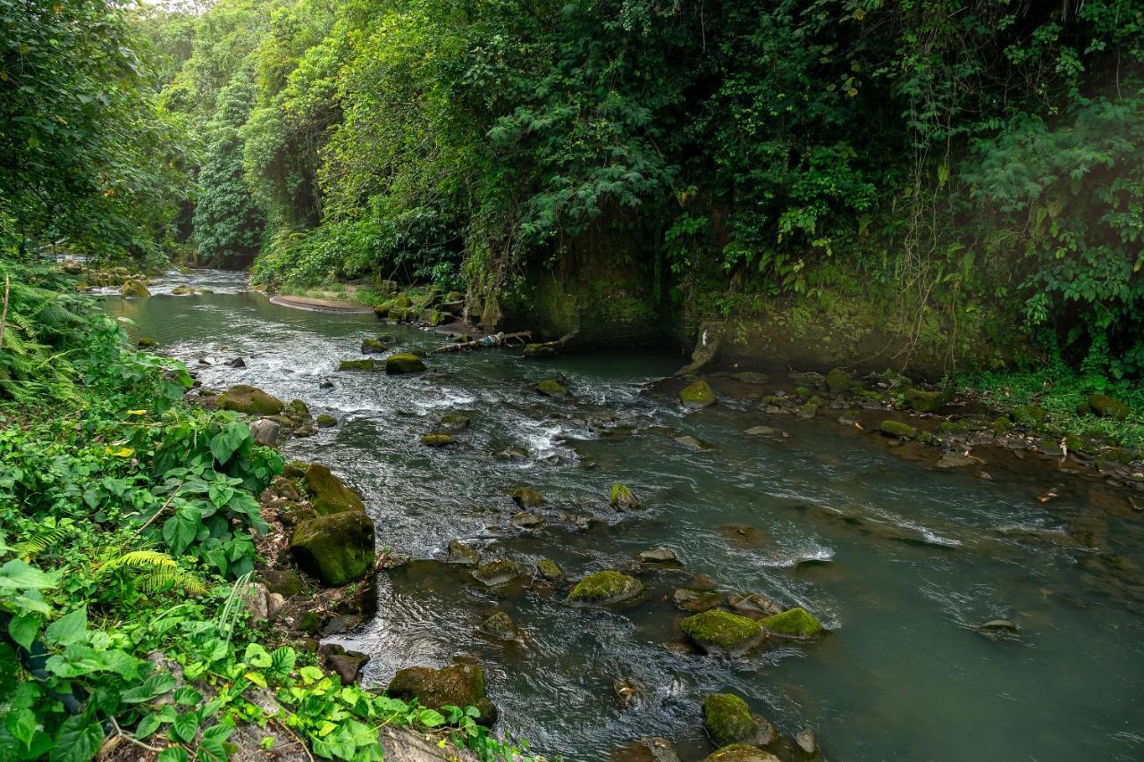 The Pyramid Ubud River Villas Payangan Exteriér fotografie